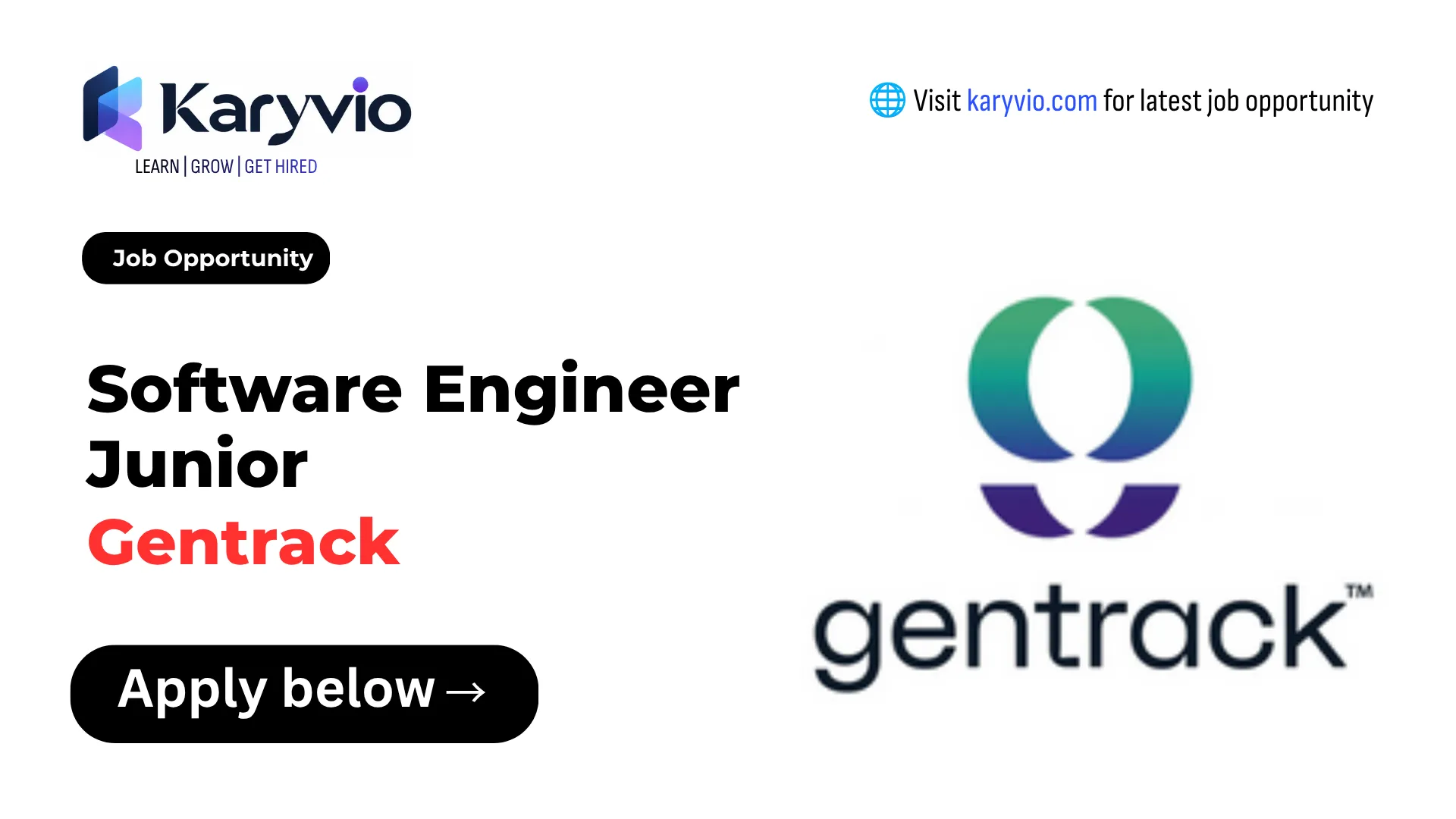 Software Engineer Junior